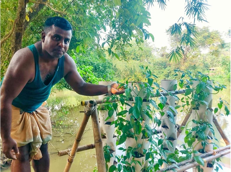 সবুজ-ই: বাংলাদেশে টেকসই কৃষিতে এক স্বতন্ত্র উদ্যোগ